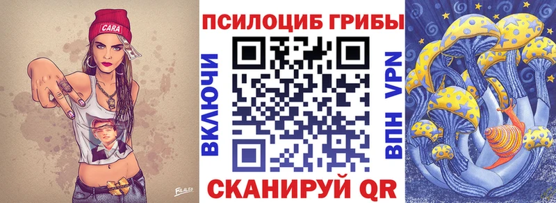 Купить где  Севск  Галлюциногенные грибы MAGIC MUSHROOMS 