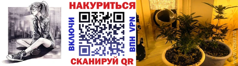 Бошки марихуана планчик  Купить закладки  Севск 